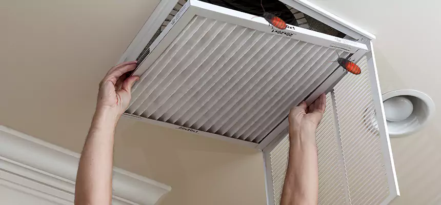 Preventive Cockroach-Proofing for Ducts in Colleyville
