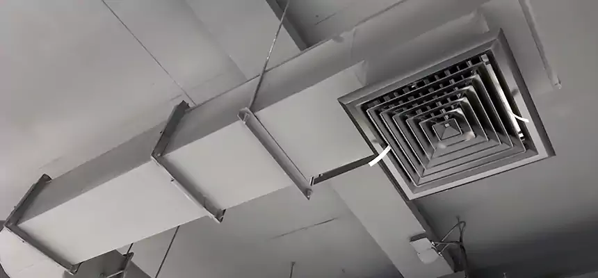 Our Pest Removal From Ducts Services in Colleyville, TX