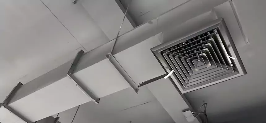 Our Rodent Droppings In Vents Services in Colleyville, TX