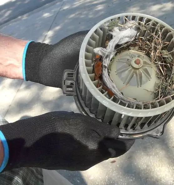 About Air Duct Mice Removal in Colleyville, TX