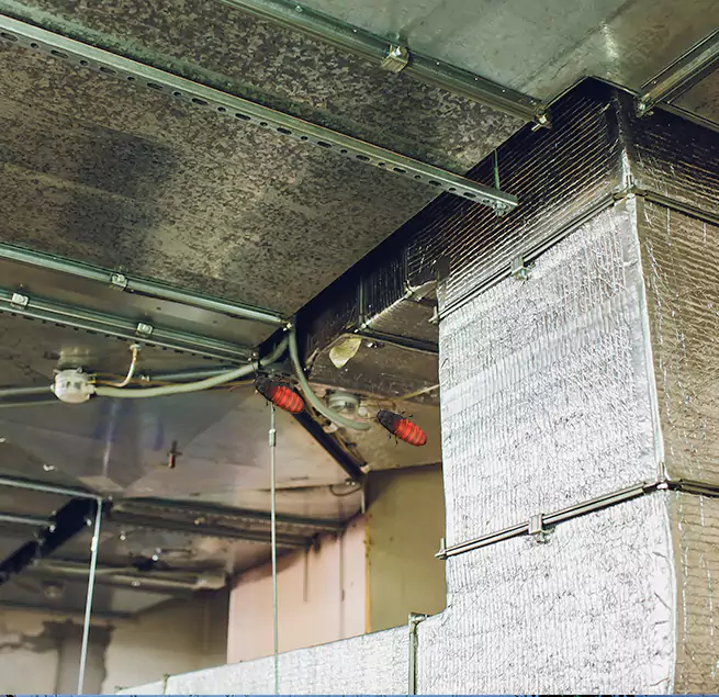 Why Homeowners & Businesses Trust Us in Colleyville, TX?