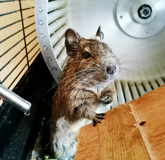 Why Homeowners & Businesses Trust Us Colleyville, TX