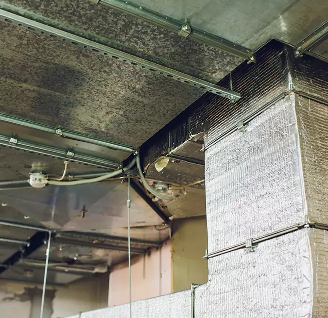 Why Homeowners & Businesses Trust Us in Colleyville, TX?